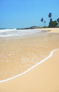 Beach with waves against rock and palm trees in sunny day