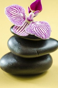 lava stone and orchid